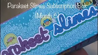 ParakeetSlimes subscription box review! (Month 6)