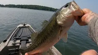 Lake Hickory 2nd place monthly and trying to figure out this lake