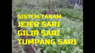 JEJER SARI  GILIR SARI  TUMPANG SARI #PART1
