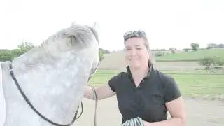 COMMENT REMETTRE SON CHEVAL AU TRAVAIL APRES LE CONFINEMENT