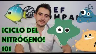 🐠 &iexcl;El SECRETO de la filtraci&oacute;n biol&oacute;gica y m&aacute;s! 😱