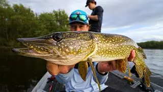 A Typical Pike Opening Day on the Ottawa River