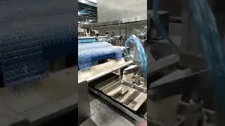rusk,bread Line auto panning moulder WhatsApp no-9614844819