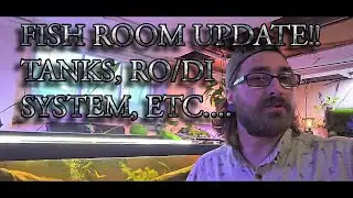 FISH ROOM UPDATE TOUR! TANKS, RO/DI SYSTEM, FUTURE PLANS, ETC...