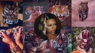 Tiger beauty sub 🐯🔮