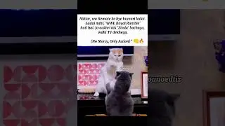 Only Action #memes #popular #viral #funnymemes #tweetreels #only #action