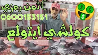 مبادرة رائعة 😲❤️ حمام ممتاز بثمن 💸💰 رمزي اول مرة 🏅 للطونديم بلعيد/صلاح الدين عرض محدود