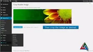 How to change your header in WordPress