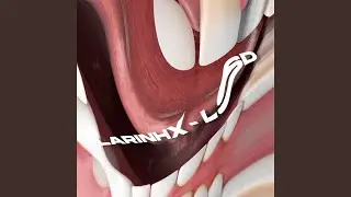 LSD