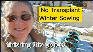 No Transplant Winter Sowing. finally finished filling all the pots. come along.