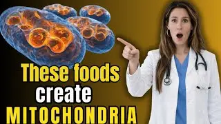 These 4 Foods Help Create New Mitochondria (More Cellular Energy)