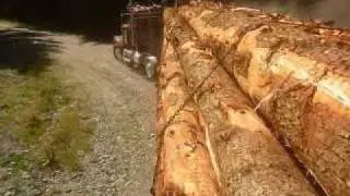 99 Peterbilt logging truck 550 Cat 18 spd LOUD PIPES