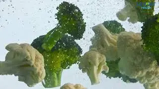 Levant Frozen Vegetables | Okra, Broccoli & Cauliflower with IQF Technology