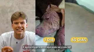 Adeus Dermatite Descontrolada com o Petskin.