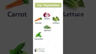 Vegetables in English 🥦🥕 &ndash; Learn Popular Names