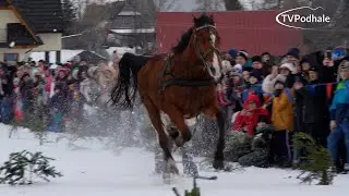 Parada Gazdowska 2026 w Zębie | 25.01.2026