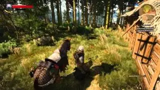 The Witcher 3 Partie 11 Butin Temerien