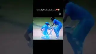 @funnyvideos
