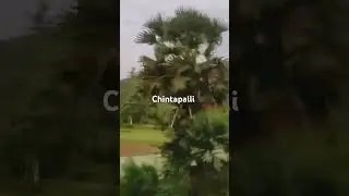 beautiful location in chintapalli on the way