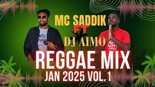 MC SADDIK ft DJ AIMO LIVE REGGAE  VIDEO MIX 🌴🌴 BEST OF  ROOTS REGGAE MIX 2025                VOL 1