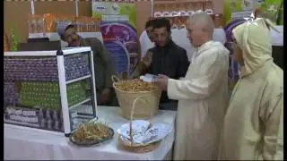 المهرجان الدولي للزعفران بتالوين