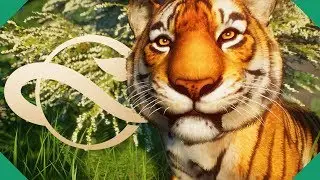 Бета-версия Planet Zoo уже здесь! НОВЫЕ ЖИВОТНЫЕ И КАМПАНИЯ | Planet Zoo (прохождение кампании)