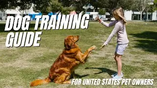 The Most Comprehensive Dog Training Guide for United States Pet Owners