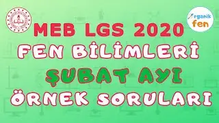 ŞUBAT AYI FEN BİLİMLERİ Örnek Soru Çözümleri  MEB 2020 LGS