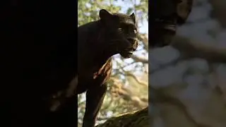 Africa jungle facts#shorts #youtubeshorts #facts #africa #amazon