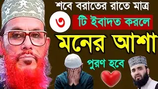 শবে বরাতের রাতে মাত্র ৩টি  ইবাদত করলে মনের আশা পূরণ হবে | আল্লামা দেলোয়ার হোসাইন সাঈদী | bangla waz