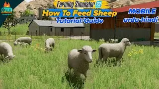 How to Feed Sheep in Farming Simulator 23 Mobile - Tutorial - Guide