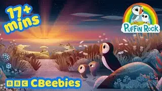 Sleepy Seaside Adventures 🌊 | Puffin Rock Compilation | CBeebies