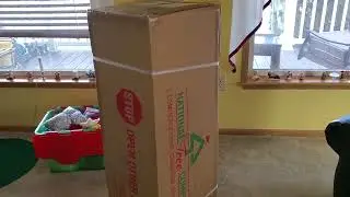 Christmas Tree  Time, Artificial or Live Tree,