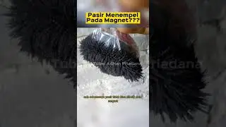 Pasir Kok Bisa Menempel???? Begini Penjelasannya Sederhana
