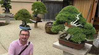 Visite du temple Daitoku-ji à Kyoto !