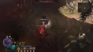 Tier 10 Shivta Ruins; necro run.
