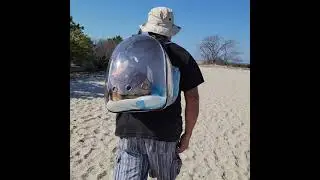 Cat Back Pack -Leonardo's 1st trip to the beach, halinfer Travel Solutions Expandable Pet Carrier