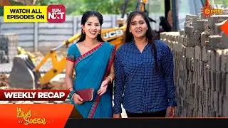 Aa Okati Adakku - Ep 540 - 545 | Recap | Weekly Roundup | Gemini TV | Telugu Serial