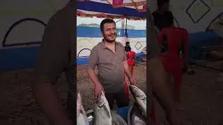 শেরপুর ঐতিহ্যবাহী মাছের মেলা 