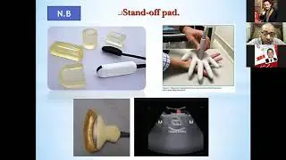 Advanced ultrasound of abdominal disorders in pets Dr. Mohamed Gomaa.
