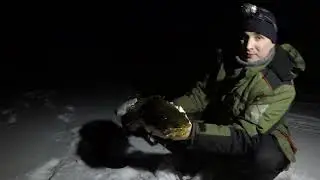 ТРОФЕЙНЫЙ НАЛИМ    TROPHY BURBOT