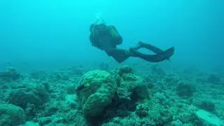 Scuba one