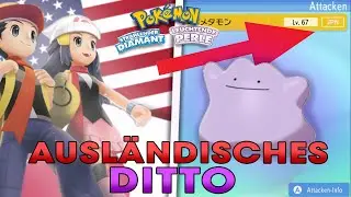 AUSLÄNDISCHES DITTO SCHNELL und EINFACH bekommen in Pokemon Strahlender Diamant/ Leuchtende Perle!