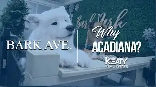 Welcome to Bark Avenue | Why Acadiana?