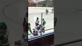 Reese for the goal! Candy man! Southtowns Stars vs Hamburg HawksW 7&ndash;3 | January 7, 2026