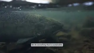Почему именно CalTrout: Сидни Кохара