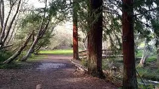 cooper's gulch