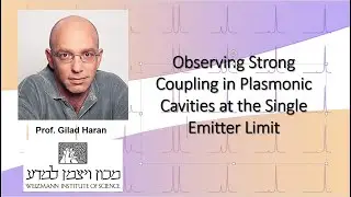 Observing Strong Coupling in Plasmonic Cavities at the Single Emitter Limit|Prof. Gilad Haran