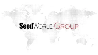 Re-Introducing Seed World: Local Content, Global  Vision