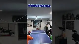 NZ Table Tennis Champ at PONGYMANIA - Classic Backhand Response #shortsviral #pingpongfury #nzsport